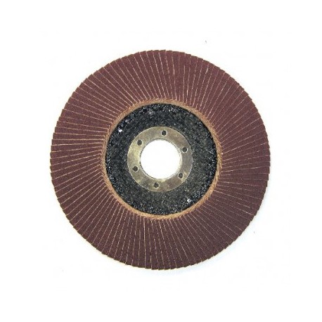 Disc Abraziv Lamelar 125 Mm 60