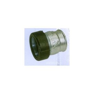 Mufa Gebo 1-1/4" Int