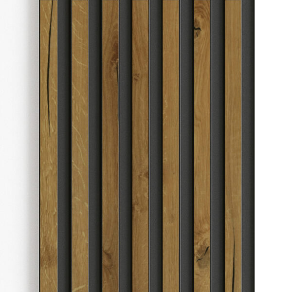 Riflaje de exterior, profil polistiren Austrotherm, gri antracit și maxCL 483, 250x42x7cm