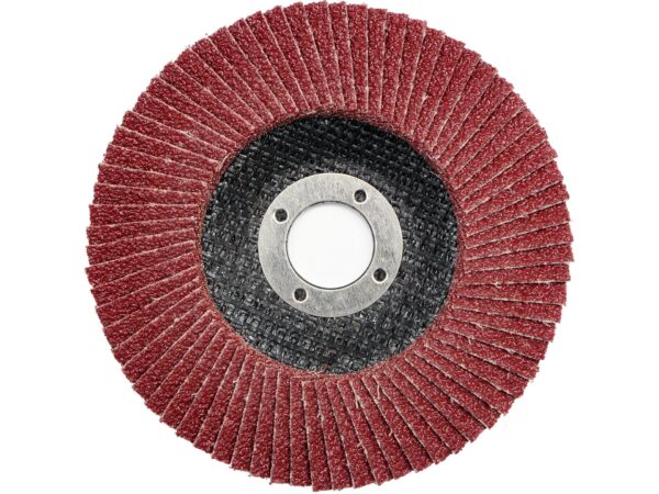 DISC Abraziv Lamelar P120 125MM