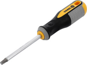 SURUBELNIȚĂ TORX T40X100MM