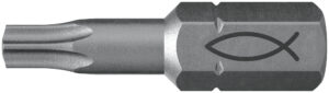 FPB T 25 PROFI Bit W 10 CAP SURUBELNITA