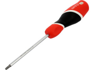 ȘURUBELNIȚĂ TORX T20X100MM