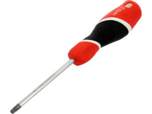 ȘURUBELNIȚĂ TORX, T30X100MM