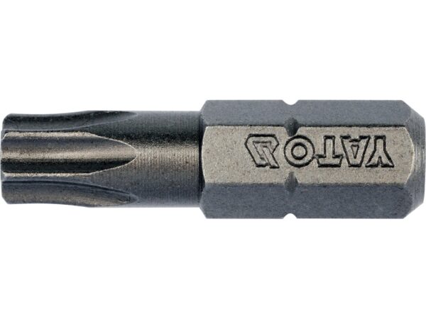 SET 10 BIȚI TORX T30, 1/4”x25mm
