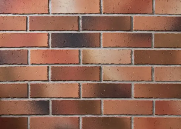 CARAMIDA APARENTA DR 6204