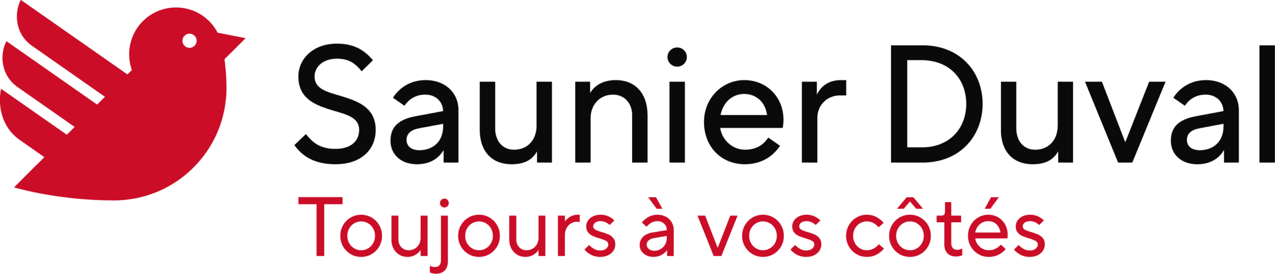 Saunier Duval